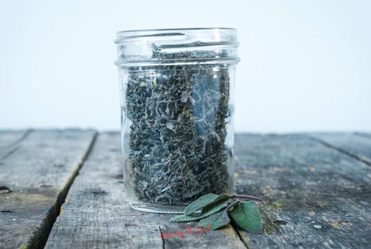 Kadulja – mirisni put do bistrine uma